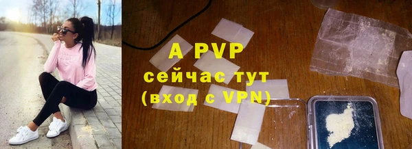 шишки Абаза