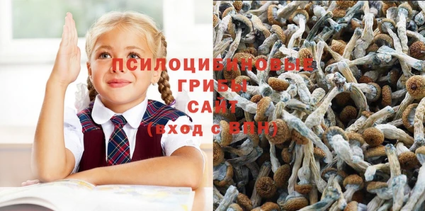 MDMA Premium VHQ Алзамай