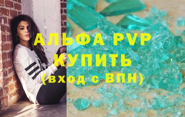 шишки Абаза