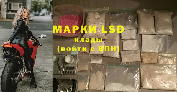 шишки Абаза