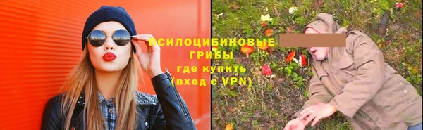 шишки Абаза