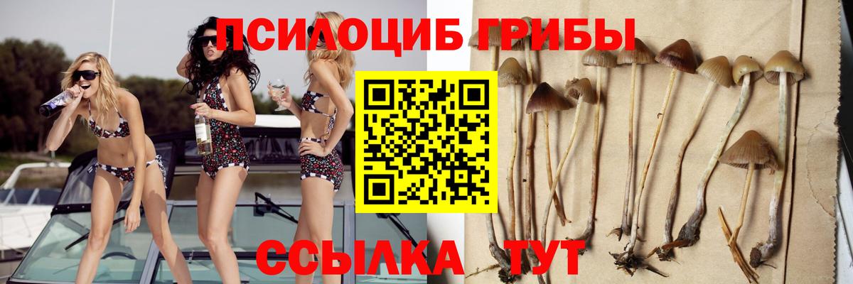 Псилоцибиновые грибы Psilocybe  Галлюциногенные грибы Psilocybine cubensis  Вход с VPN  Майский 