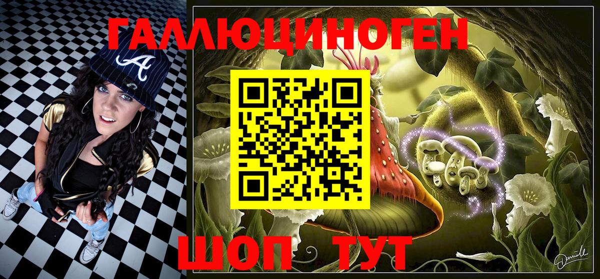 Псилоцибиновые грибы Psilocybine cubensis Майский